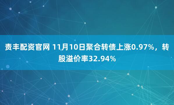 责丰配资官网 11月10日聚合转债上涨0.97%，转股溢价率32.94%